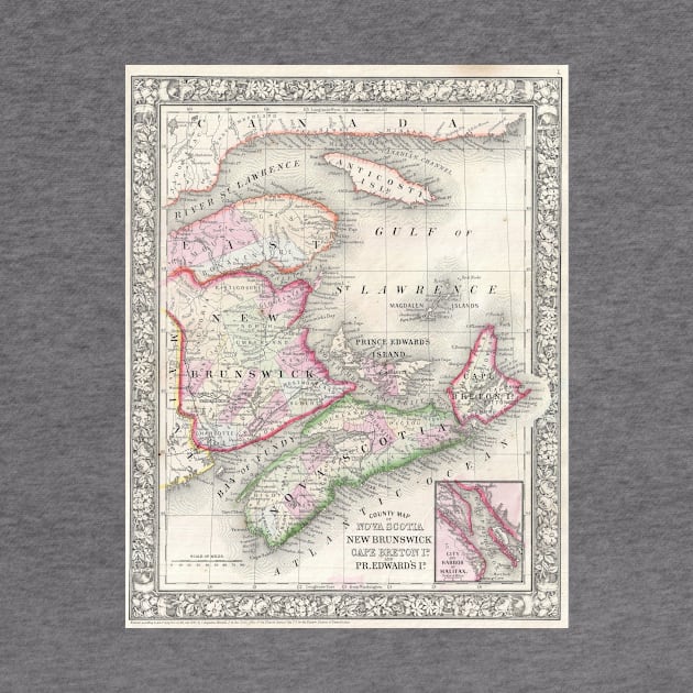 Vintage Nova Scotia and New Brunswick Map (1866) by Bravuramedia